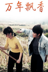 万年飘香